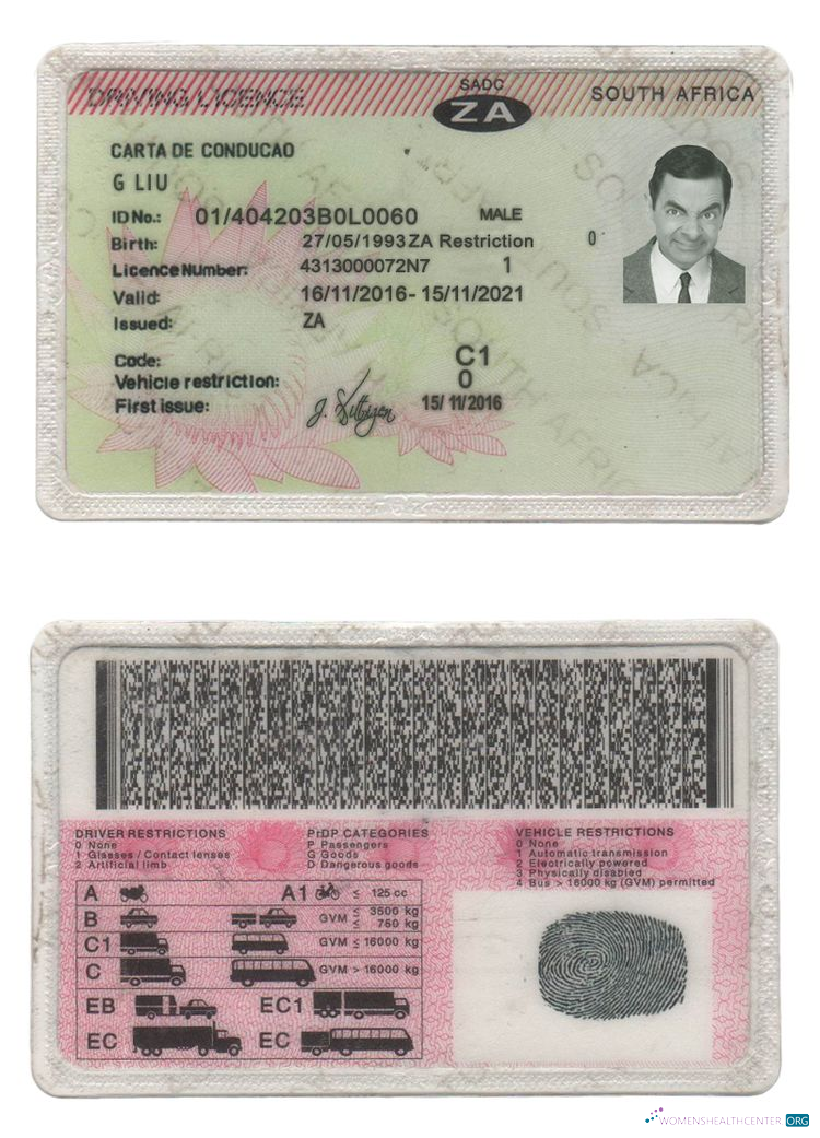 download South Africa driving license